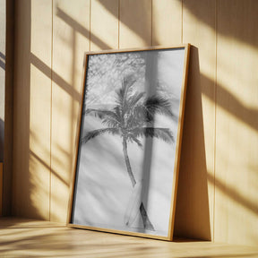 Palm Surfboard Poster