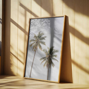 Palm Trees Poster