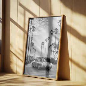 Posh In California Poster