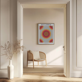 Gaillardia - National flower of Belgium Poster