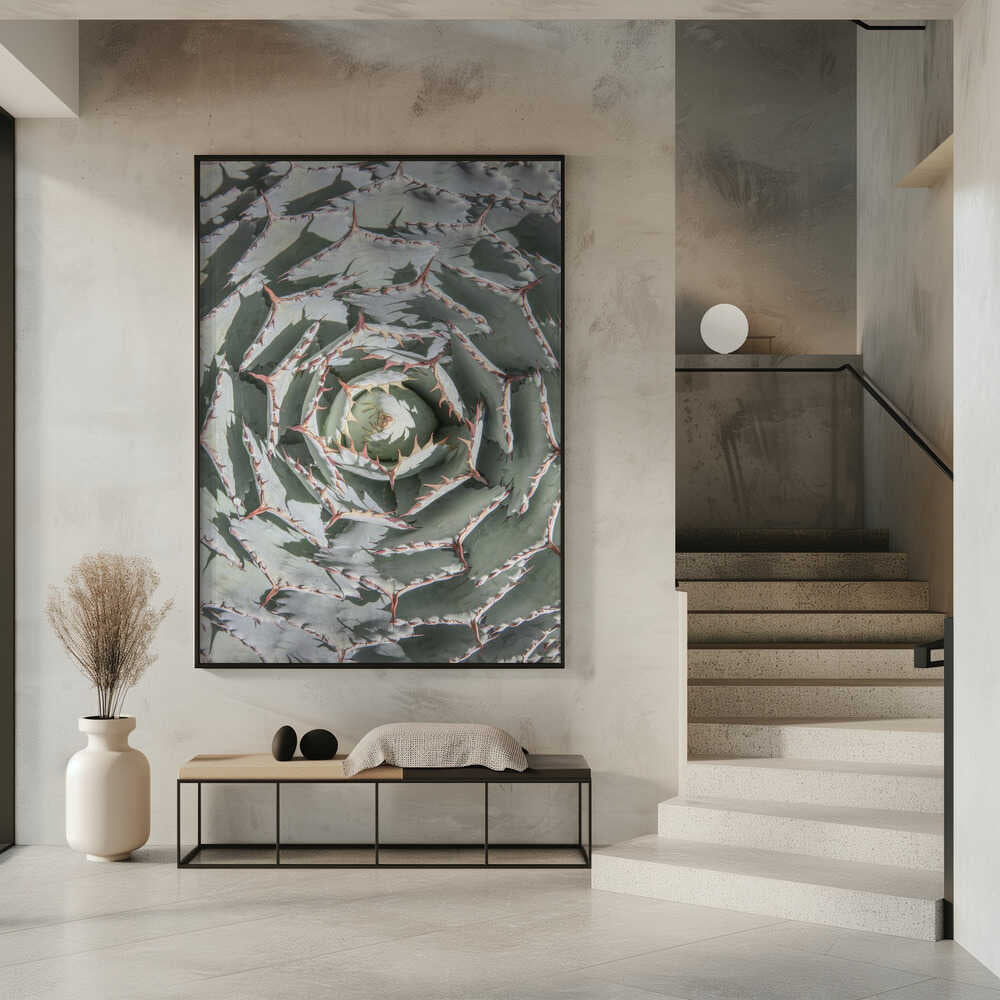 Spiral Succulent Maze Poster