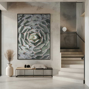 Spiral Succulent Maze Poster