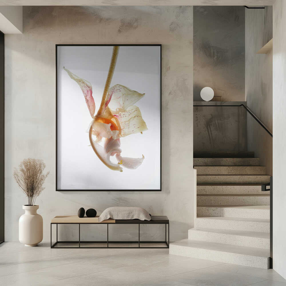 Petal Symphony Poster