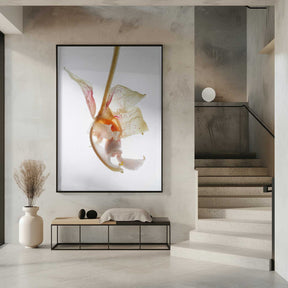 Petal Symphony Poster