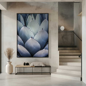 Agave Geometry Poster