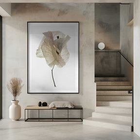 Petal Whisper Poster