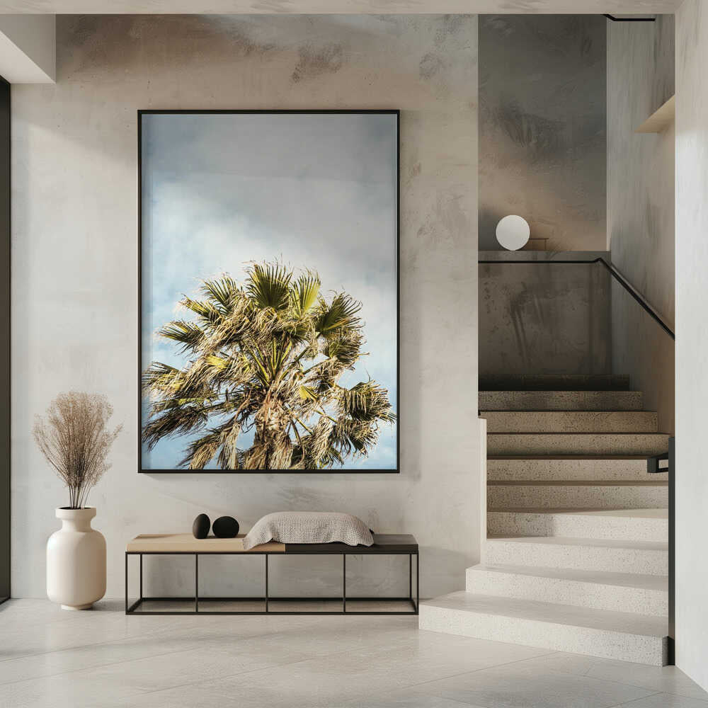 Sunlit Fronds Poster