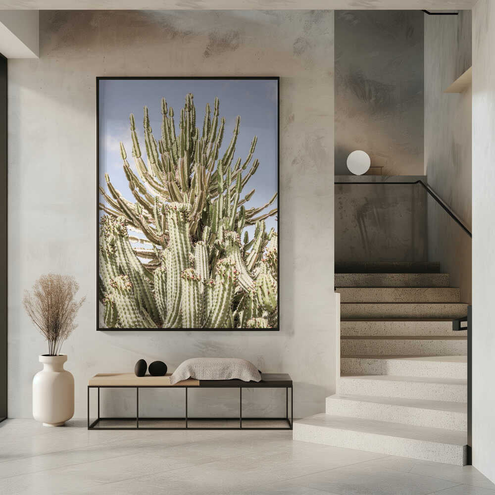 Cactus Symphony Poster