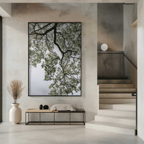 Ethereal Canopy Poster