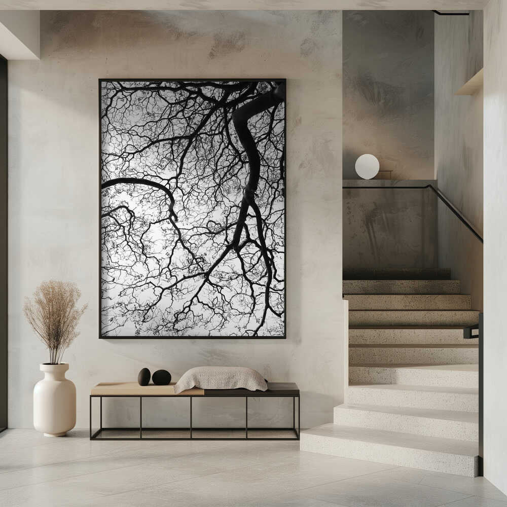 Branches' Dance Poster