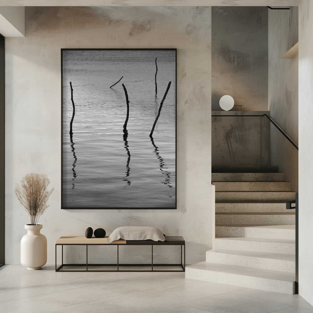 Silent Reflections Poster