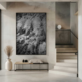 Black And White Photograph Poster