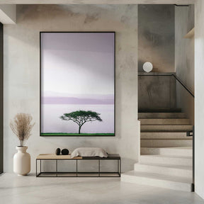 Tree By A Tranquil Lake Poster
