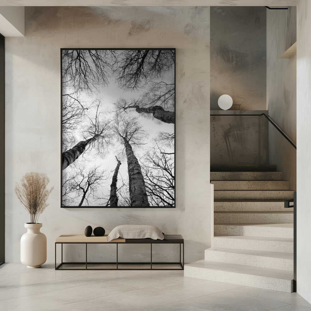 Reaching Branches Poster