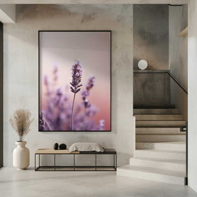 Lavender Serenity Poster