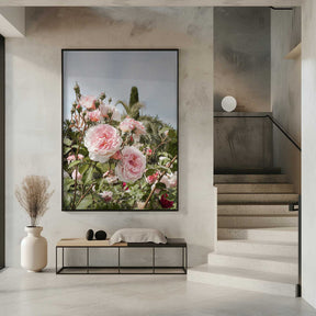 Garden Roses Poster