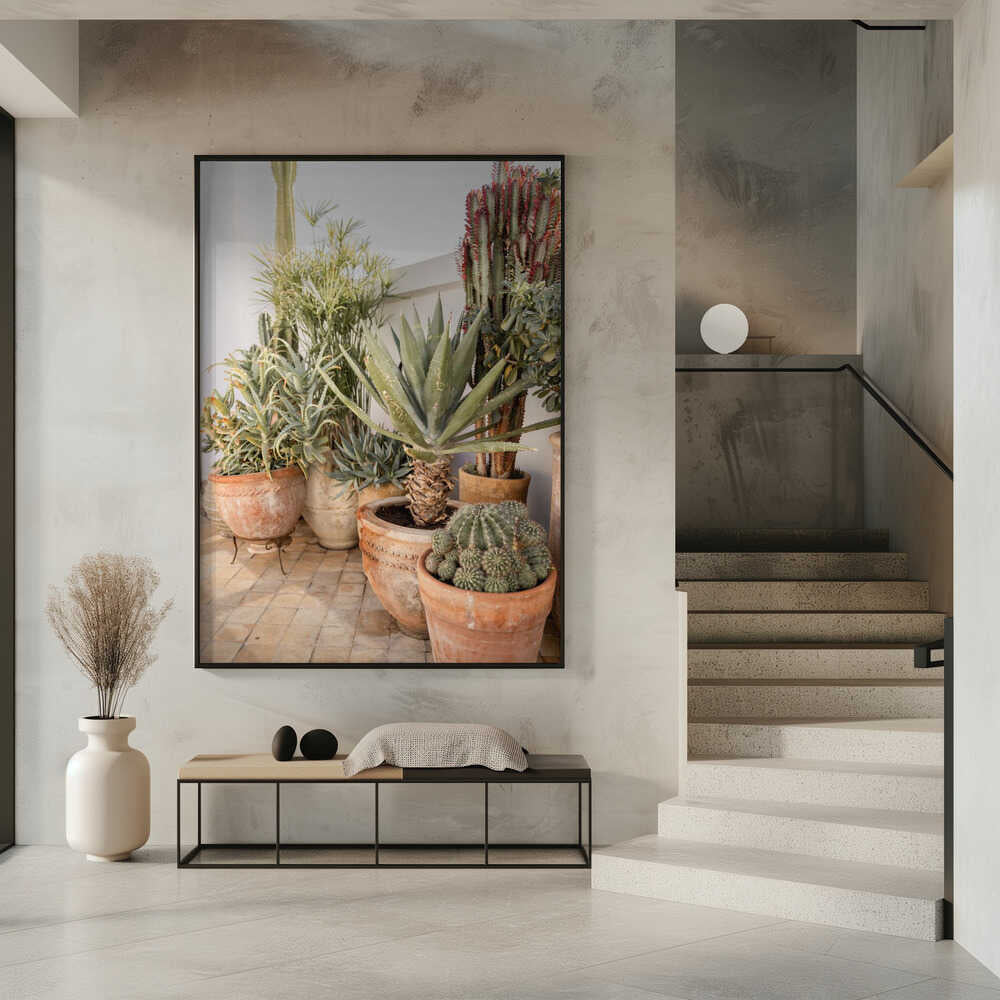 Garden with Various Potted Succulents and Cacti Poster