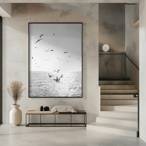 Seagulls At Sea Poster