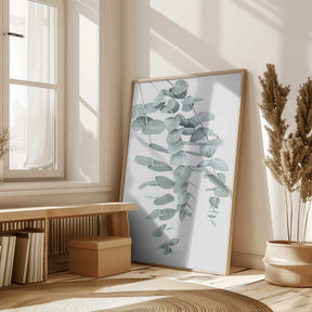 Eucalyptus I Poster