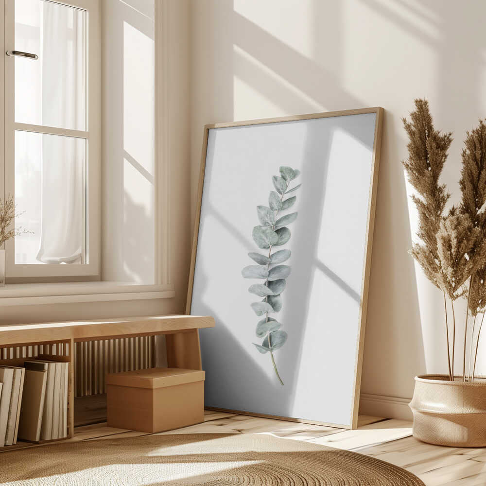 Eucalyptus II Poster