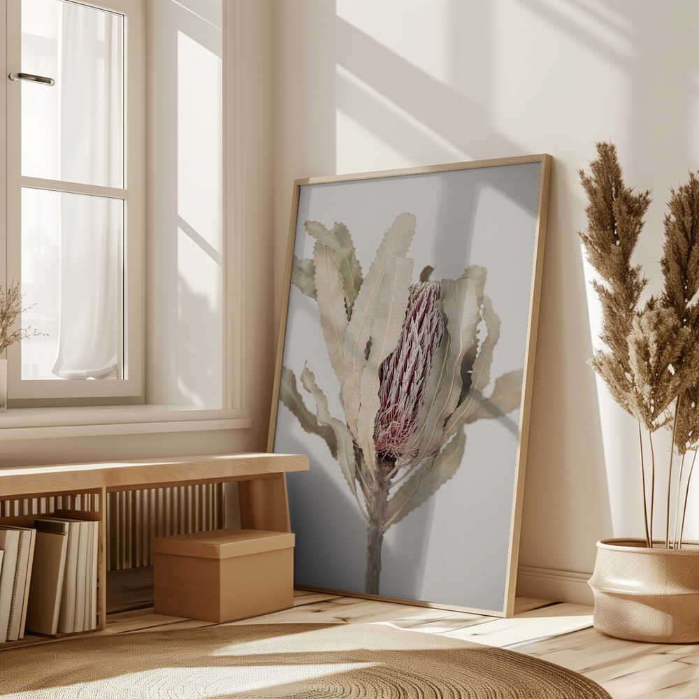 Banksia Poster