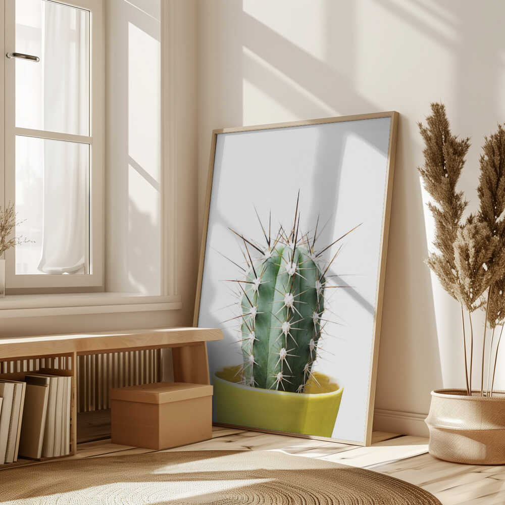 Spikey Cactus Poster