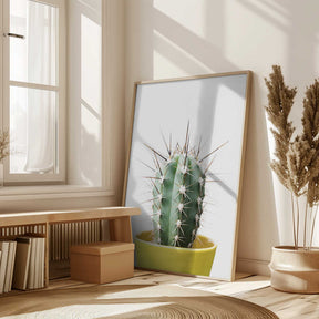 Spikey Cactus Poster