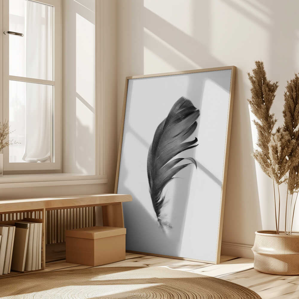Feather Poster