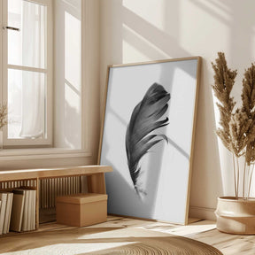 Feather Poster