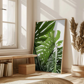 Jungle Poster