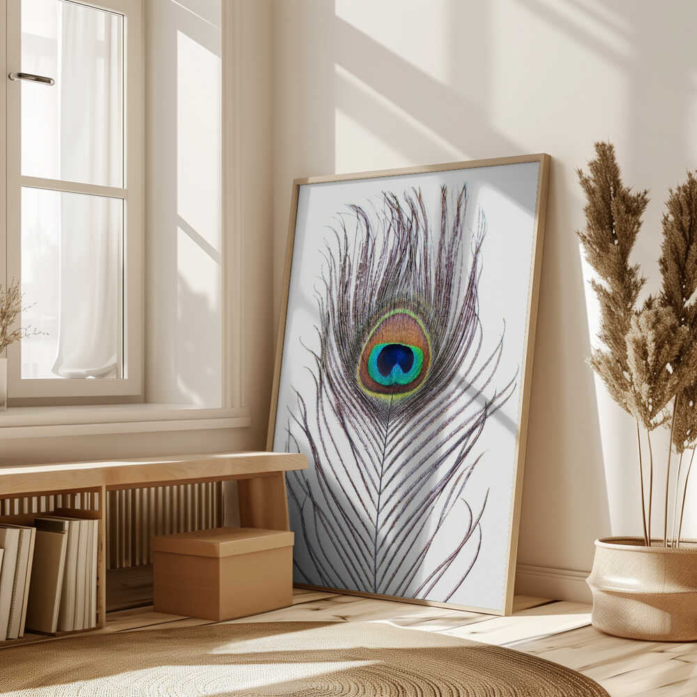 Peacock Feather Poster