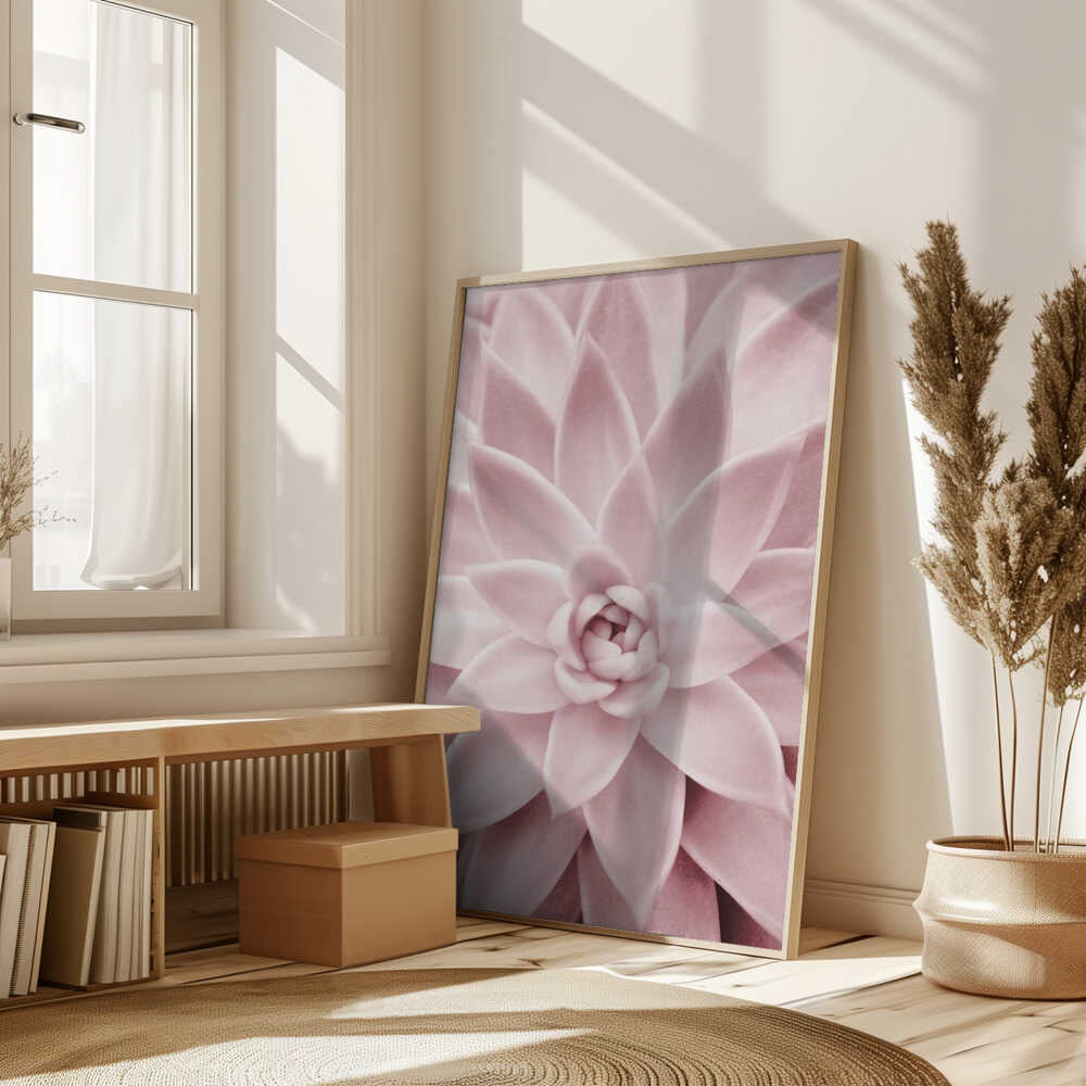 Pink Succulent Poster