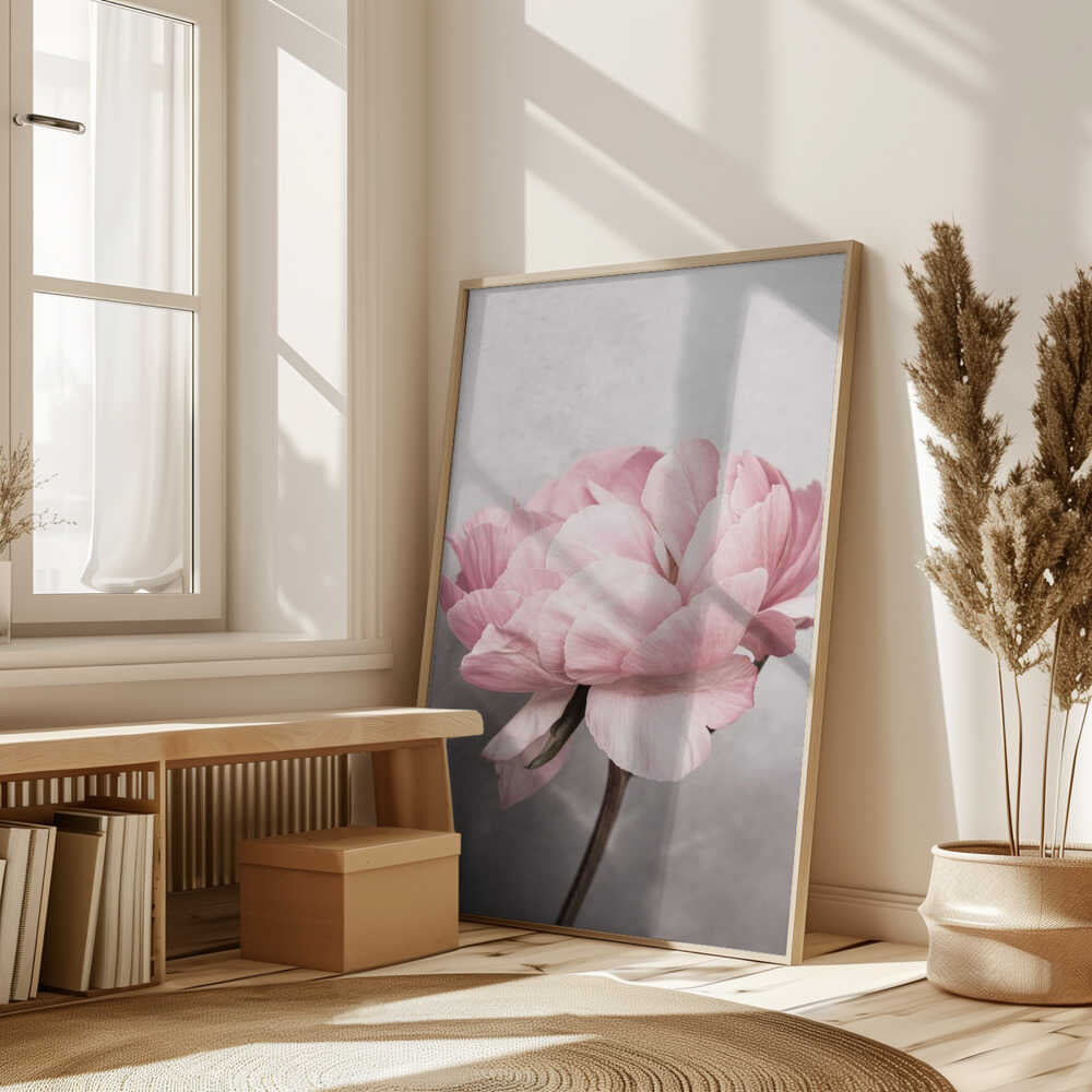 Peony Poster