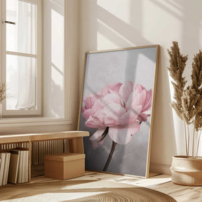 Peony Poster