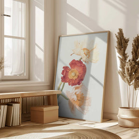 Poppies Poster