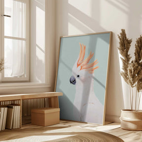Cockatoo Poster