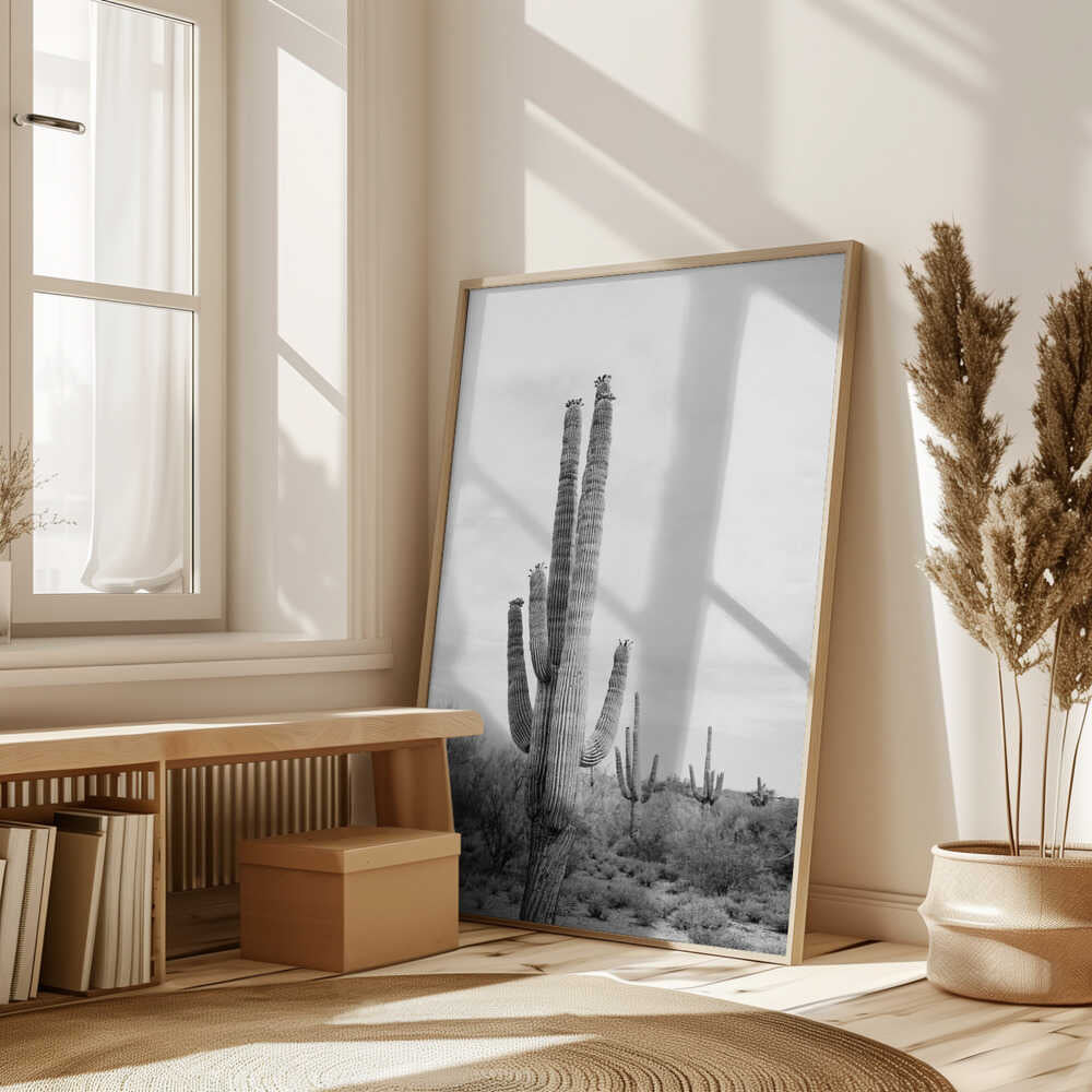 Saguaro B&amp;W Poster