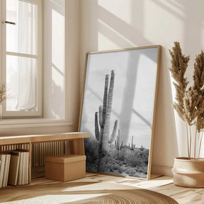 Saguaro B&amp;W Poster