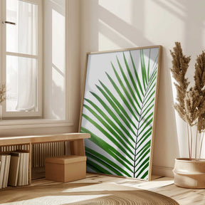 Green Palm Leaf Poster