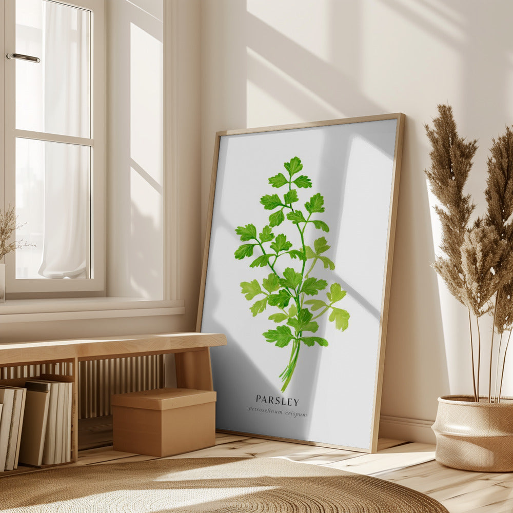 Parsley I Poster