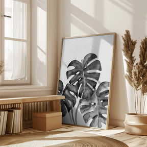 Monstera leaves in loose watercolor bw Poster