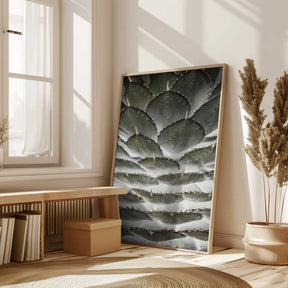 Spiral Succulent Poster
