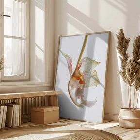 Petal Symphony Poster