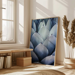 Agave Geometry Poster