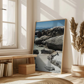 Penguin Cove Serenity Poster