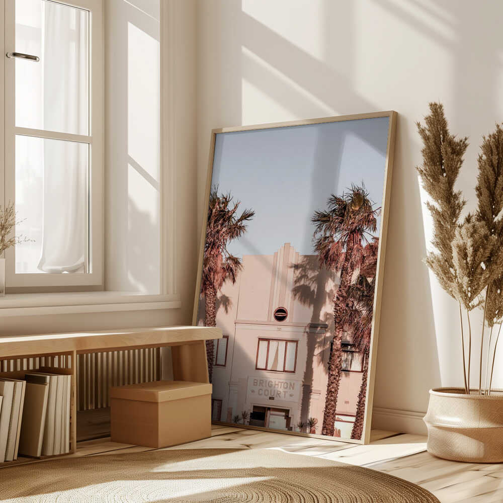 Palm Shadows Poster