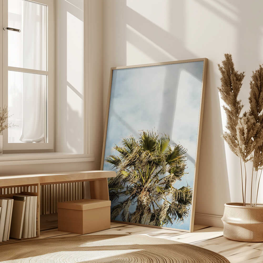Sunlit Fronds Poster
