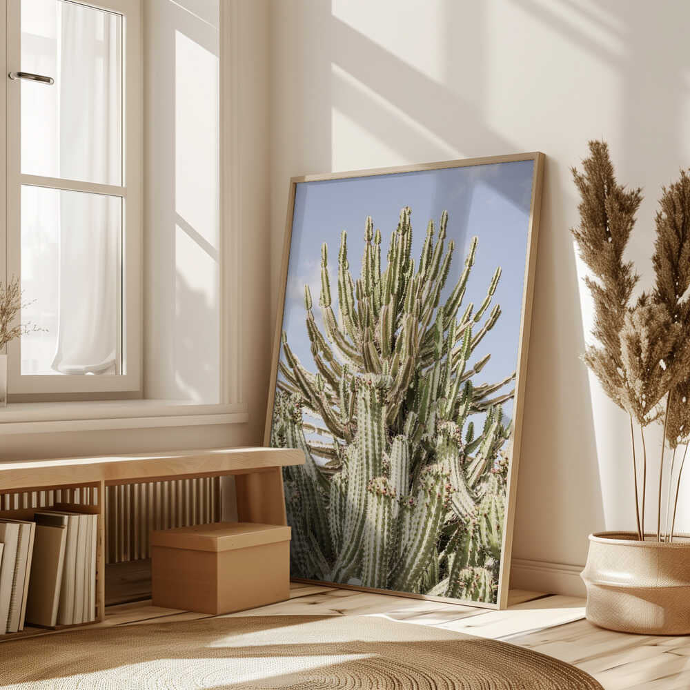 Cactus Symphony Poster