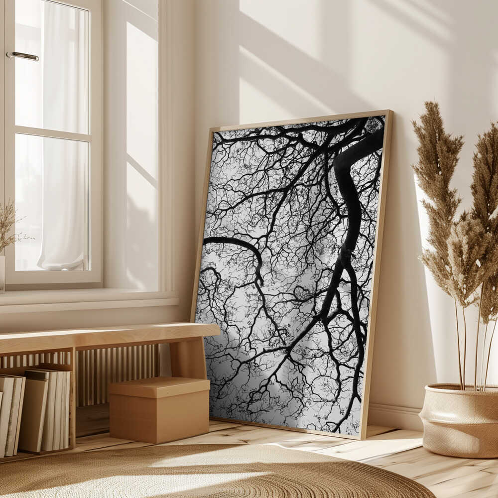 Branches' Dance Poster