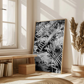 Whispering Ferns Poster